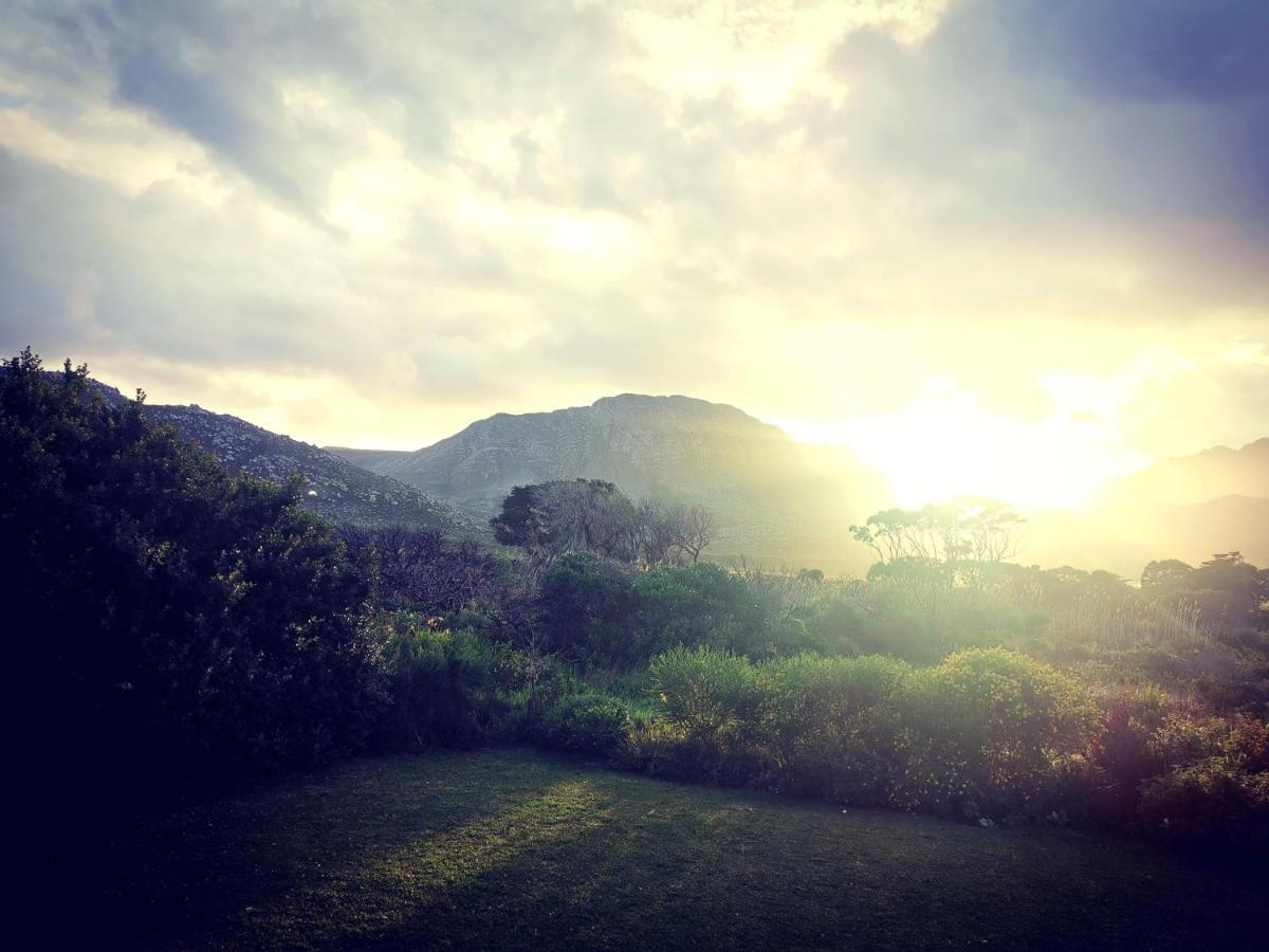 The Crowded House Villa Pringle Bay Ngoại thất bức ảnh