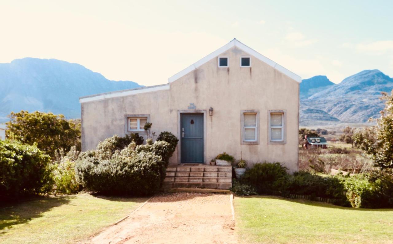 The Crowded House Villa Pringle Bay Ngoại thất bức ảnh
